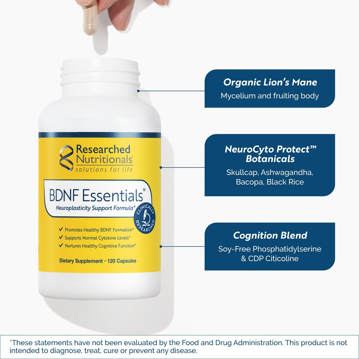 Researched Nutritionals BDNF Essentials Brain Supplement Capsule, 120 Capsules