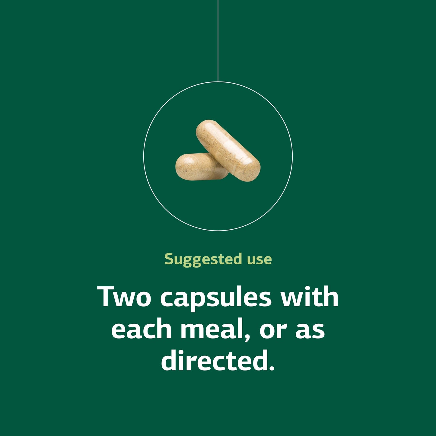 Standard Process Inc. Fen-Cho Digestive & Gut Health Supplement Capsule, 90 Count