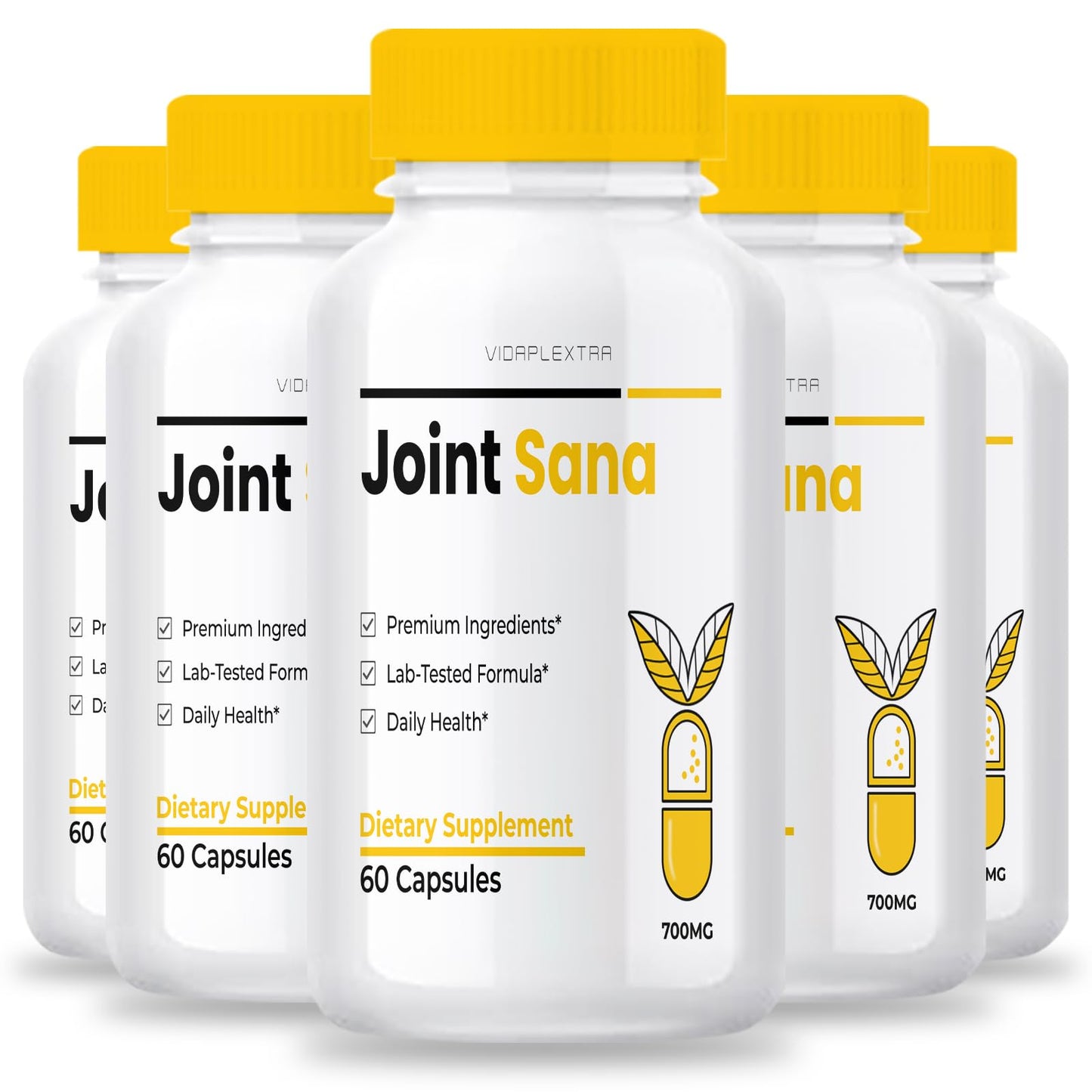VIDAPLEXTRA Joint Sana 300 Capsules