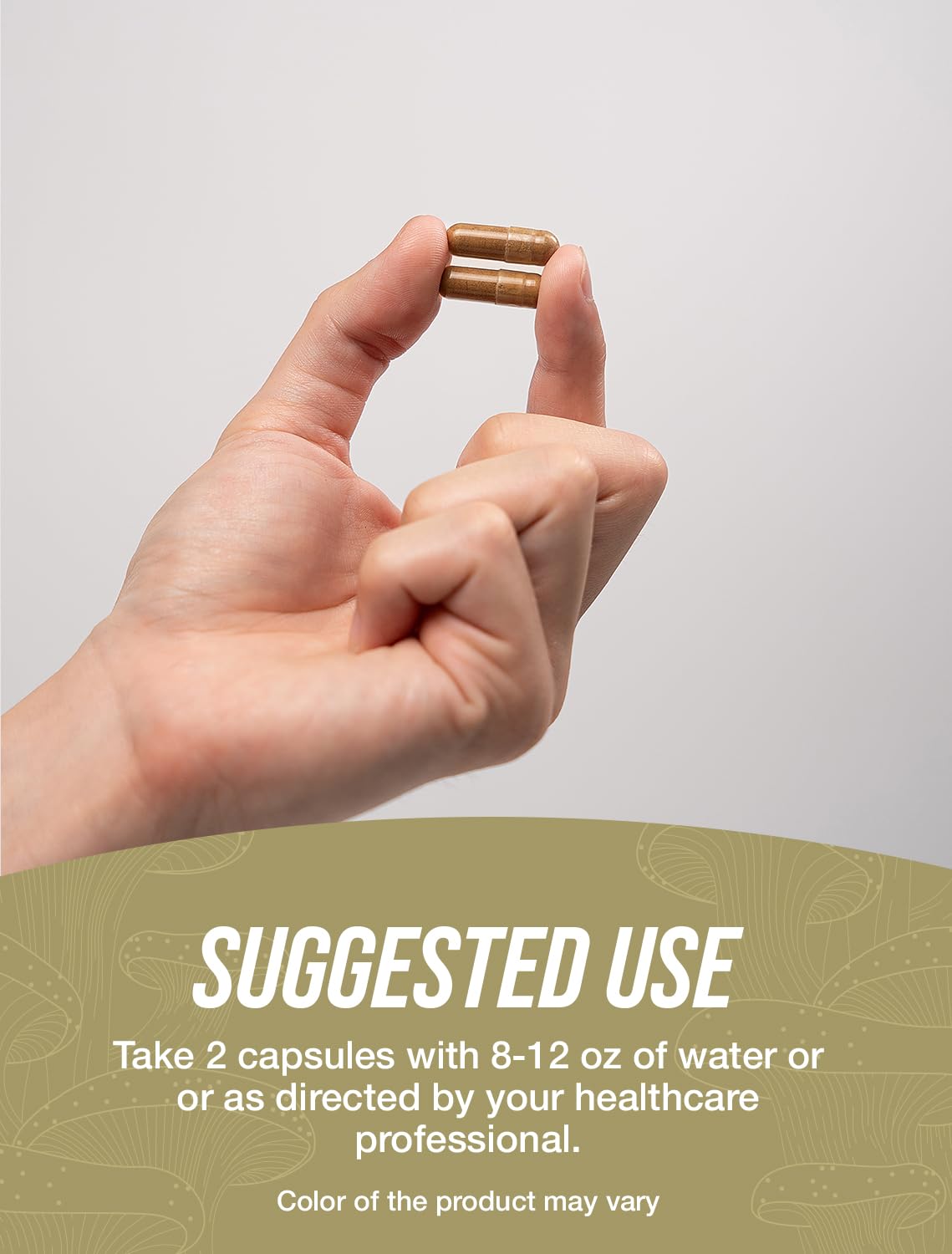 BulkSupplements Chaga Mushroom Extract 360 Capsules