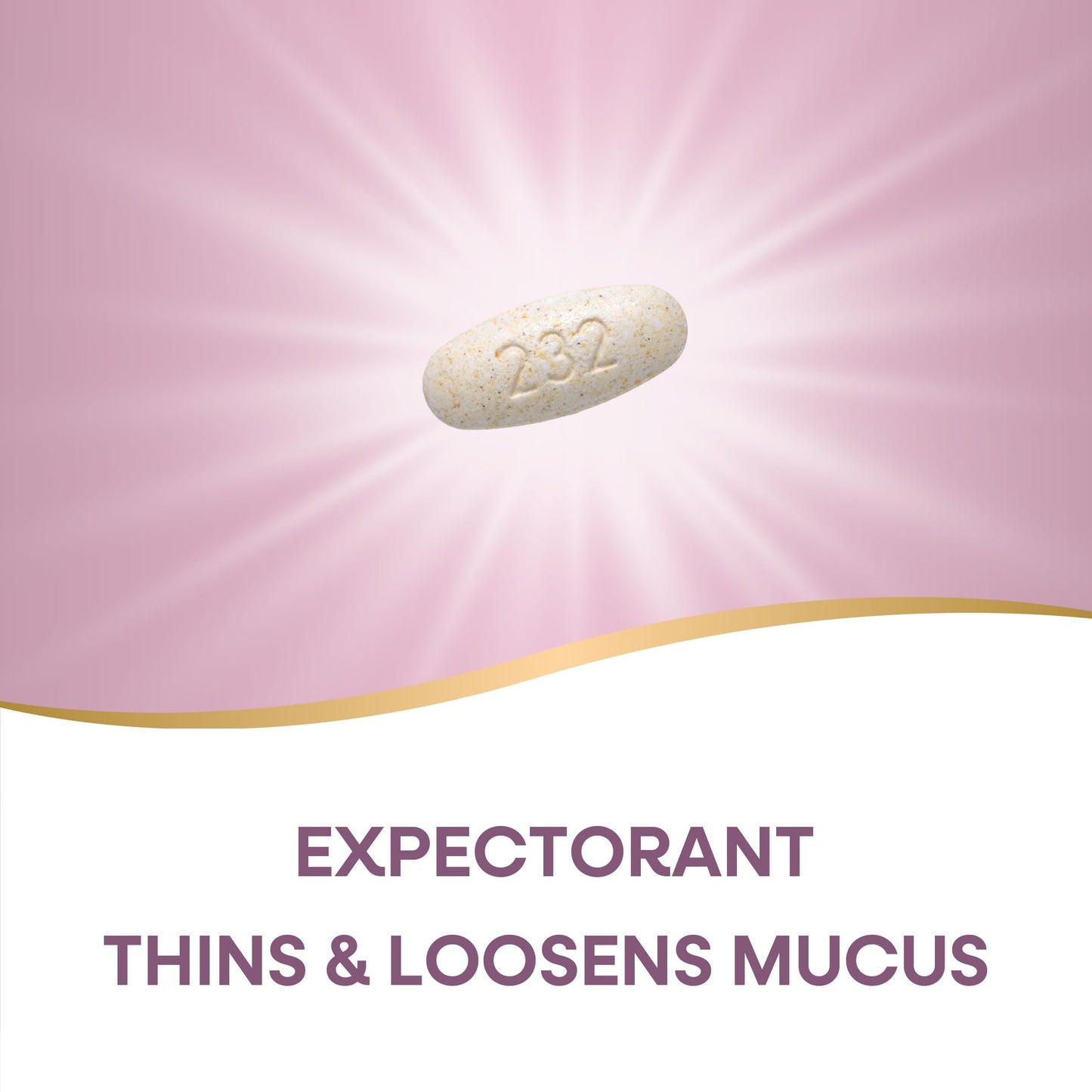 Nature's Way Air-Power Guaifenesin Expectorant Mucus Relief, 100 Tablets