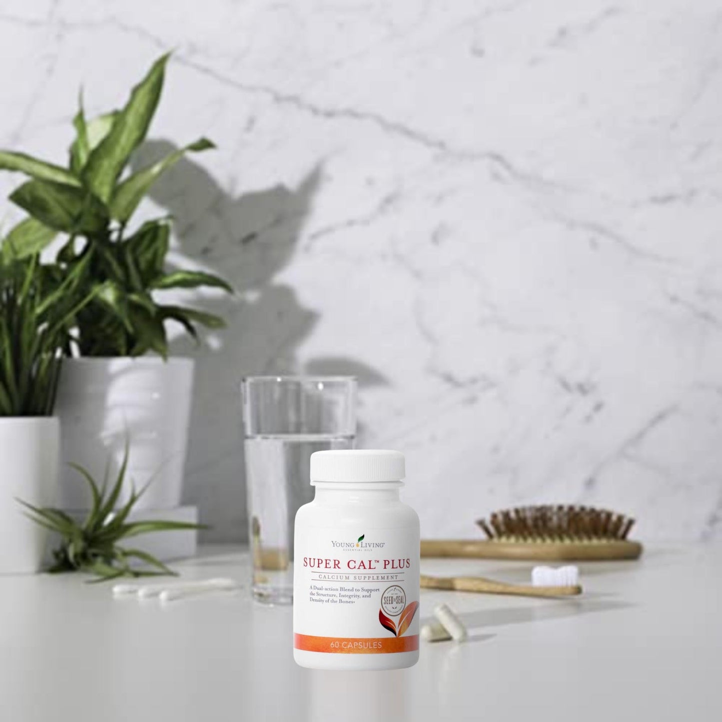 Young Living Super Cal Plus Calcium Mineral Bone Health Supplement, Synergistic Blend of Magnesium, Vitamins D & K, 60 Capsules
