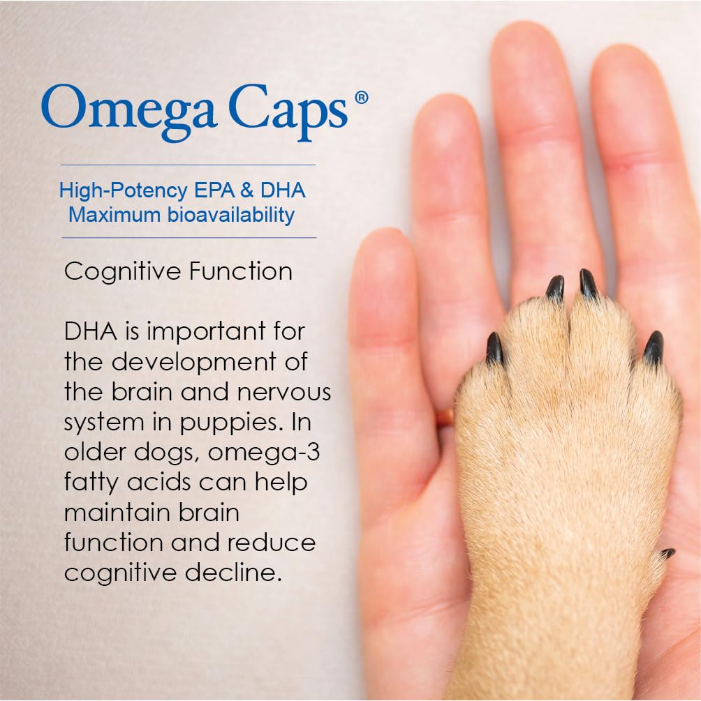 OMEGA-CAPS ES HP Snip Tips for Cats and Small Dogs High Potency EPA and DHA Maximum Bioavailability Fish Oil Supplement Vet Formulated Made in USA Skin Coat Joint and Heart Health 60 Capsules
