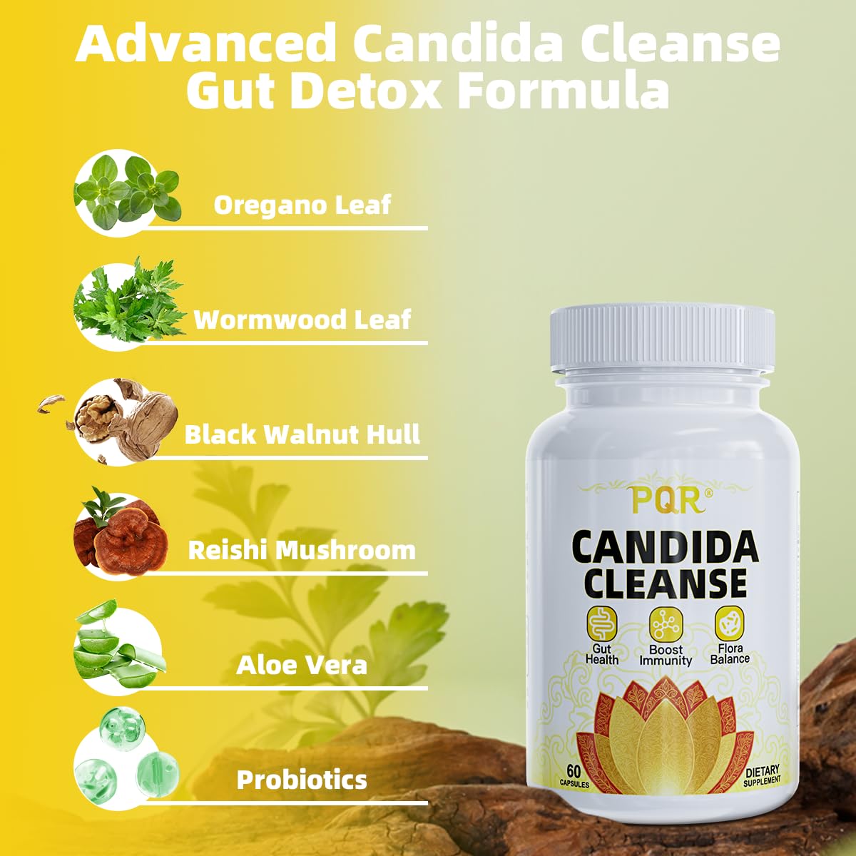 PQR Candida Cleanse - Gut & Colon Support, Natural Herbal Formula, Include Oregano Leaf, Wormwood, Black Walnut, Caprylic Acid-1, 120 Capsules