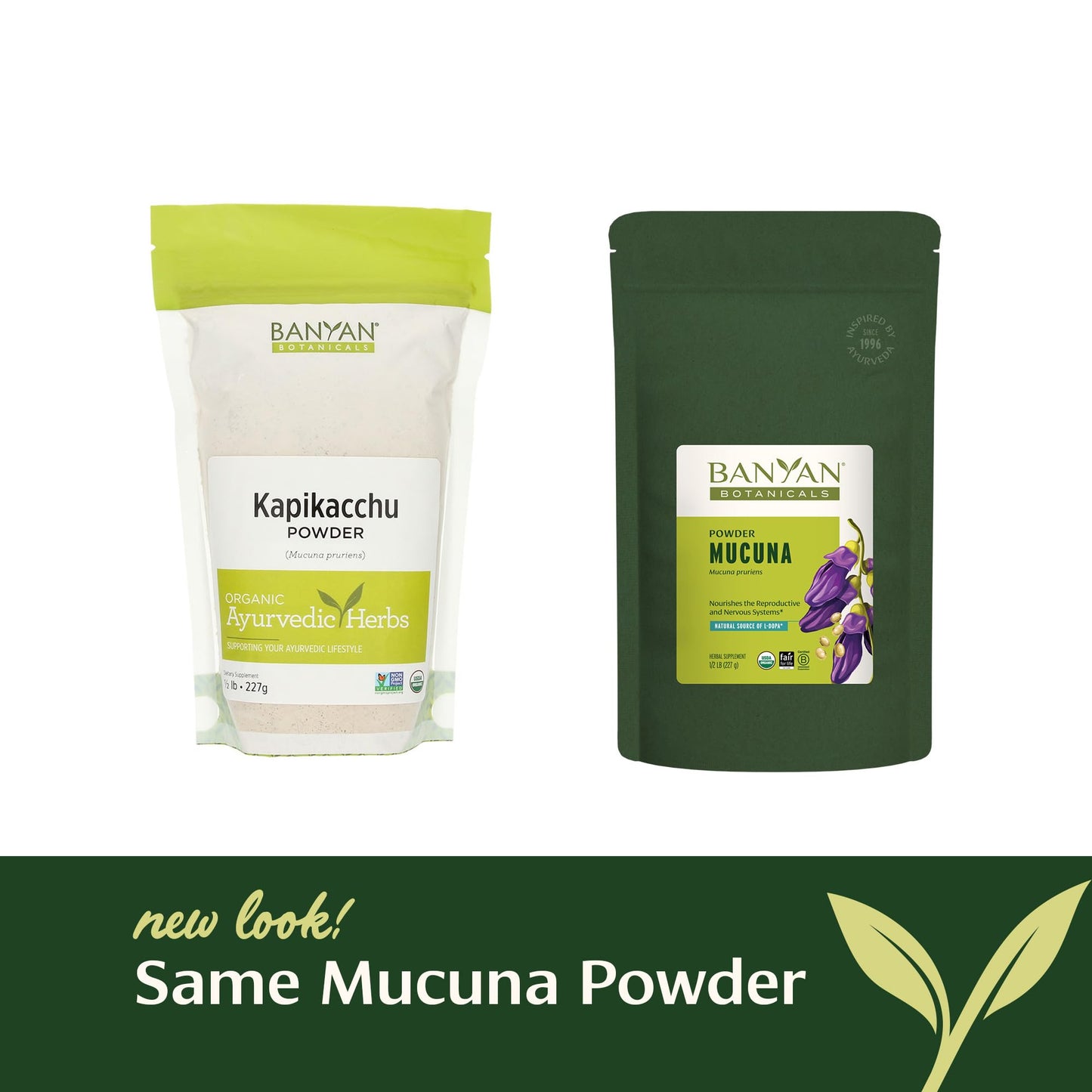 Banyan Botanicals Kapikacchu Powder, 8 Ounce