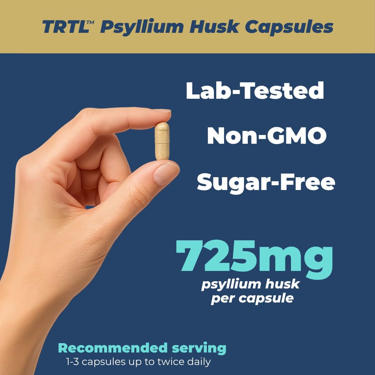 TRTL Supplements Psyllium Husk Capsules 120 Capsules