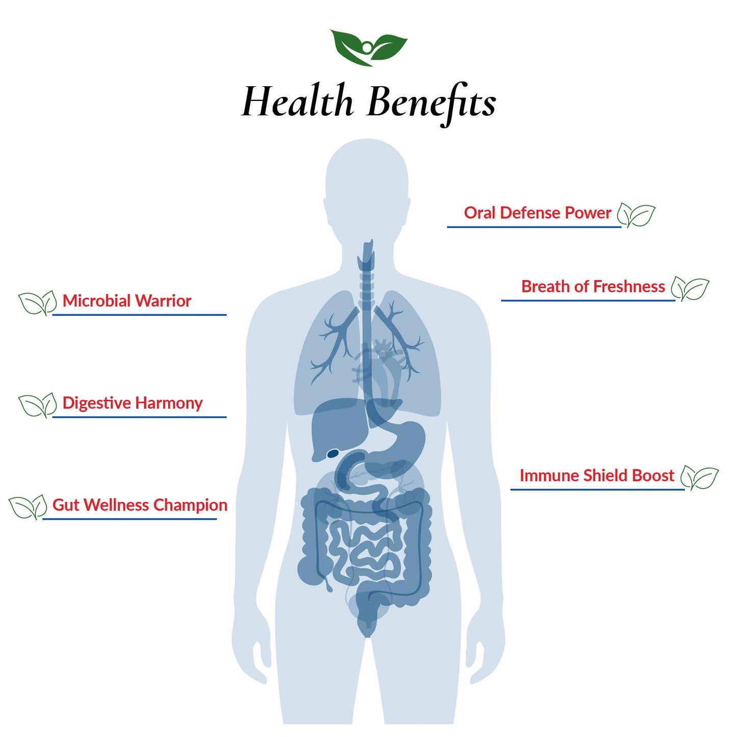 Foods For Gut Lactobacillus Reuteri 2 Probiotic Powder 30 Gram