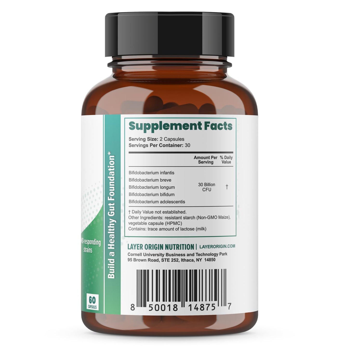 Layer Origin PureBifido Probiotics with 5 Strains of Bifidobacteria for Seeding Gut Microbiome and Boosting Your Gut Health 60 Capsules