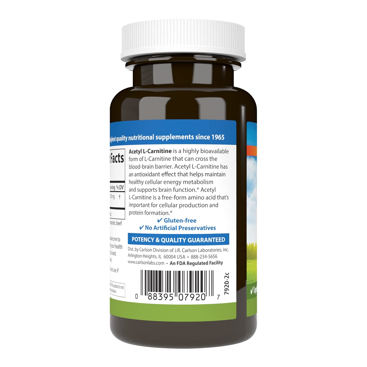 Carlson Acetyl L-Carnitine 500mg Capsules, 60 Count