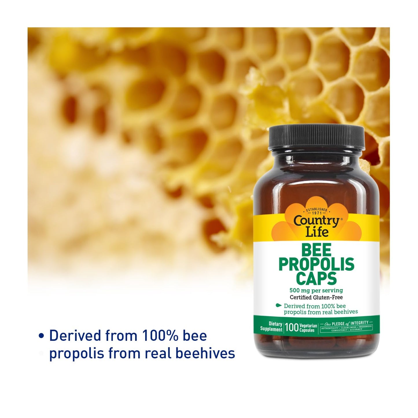 Country Life Bee Propolis 500 mg Capsule, 100 Count