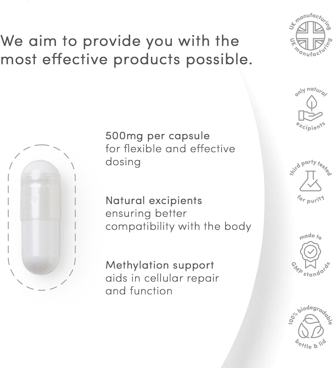 vP Vitality Pro TMG 500mg Capsules, 120 Count