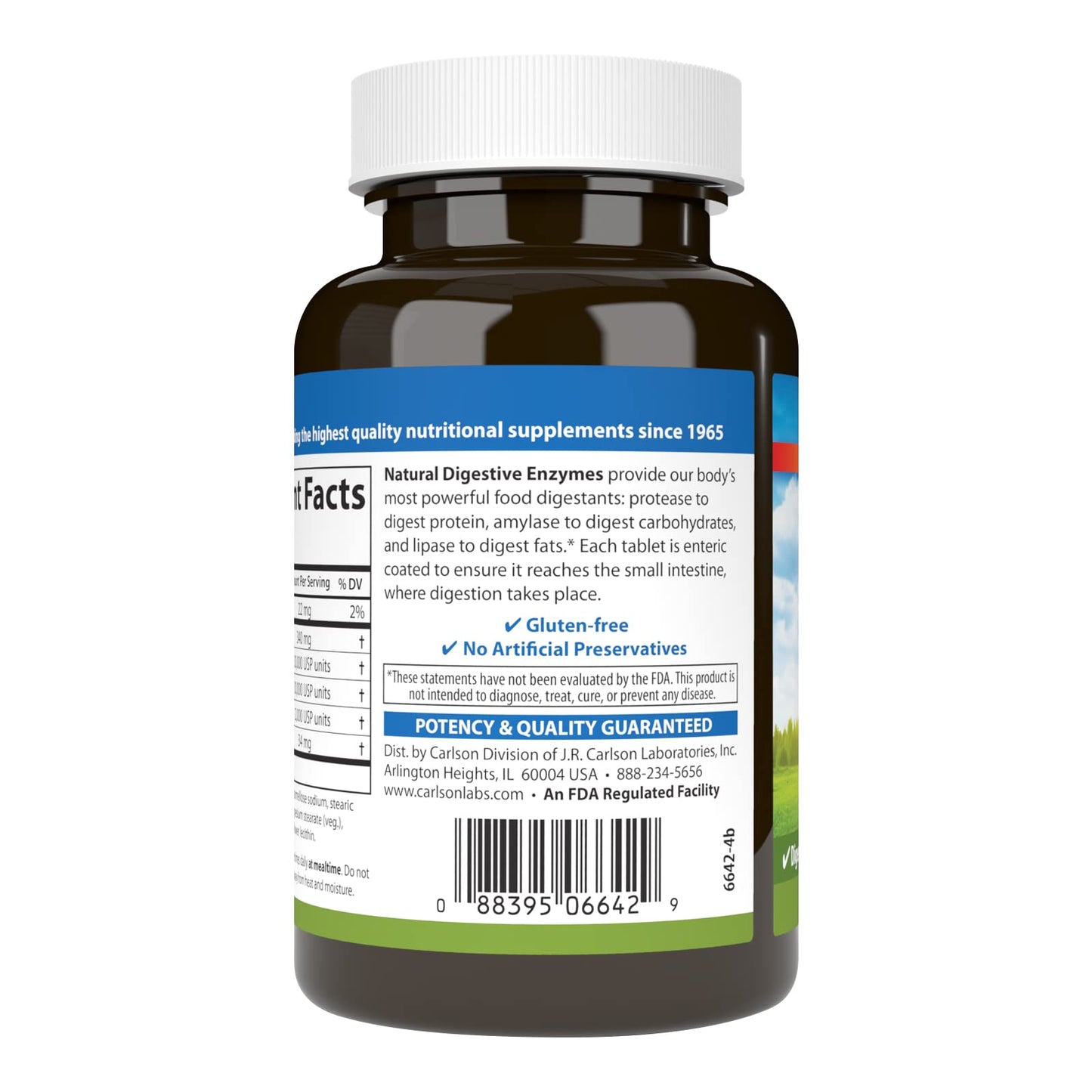 Carlson Natural Digestive Enzymes Digestive Aid #34 with Protease, Amylase & Lipase, 250 Tablets