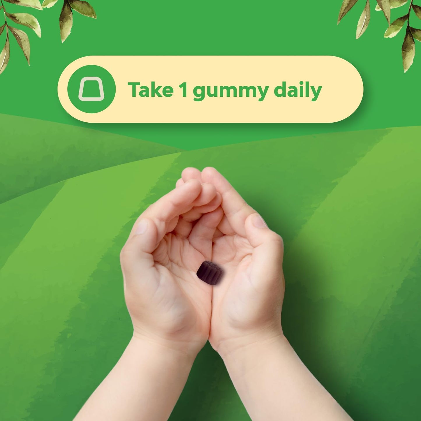Natures Craft Sambucus Elderberry Gummies for Kids Health Gummy, 60 Count