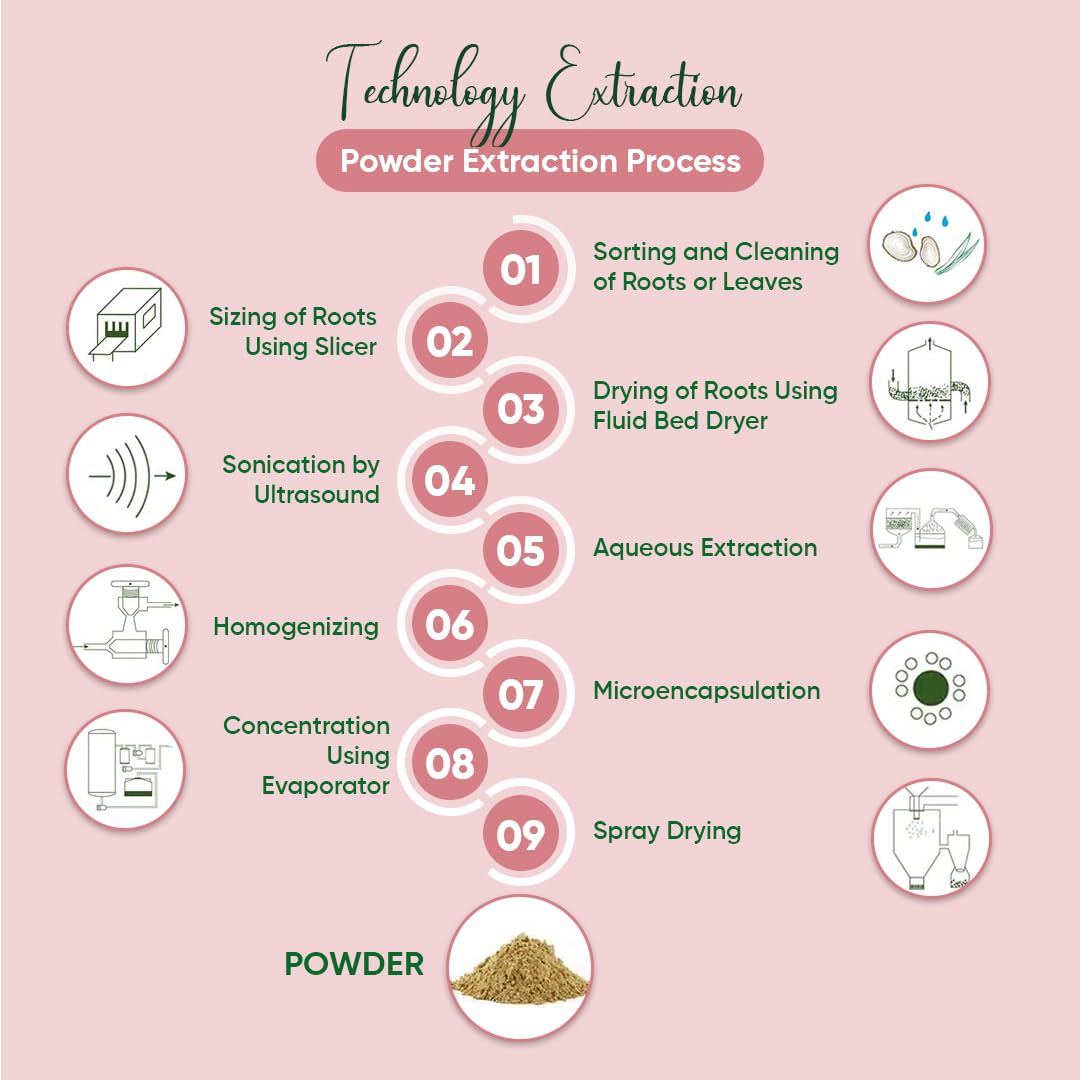 BIONUTRICIA EXTRACT Kacip Fatimah (Labisia pumila) Extract Powder, 1.76 oz