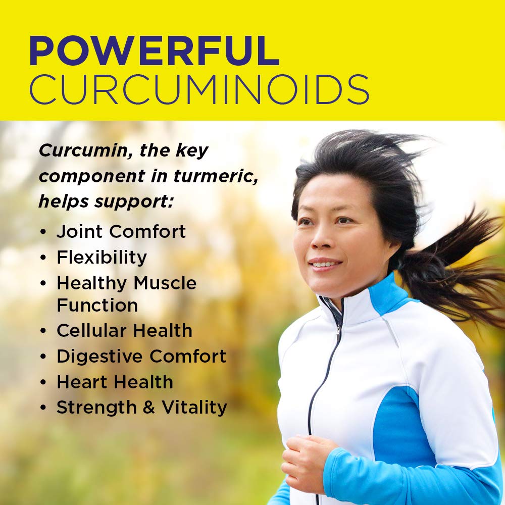 Nature's Life Turmeric Ginger Joint Ease Capsules 100