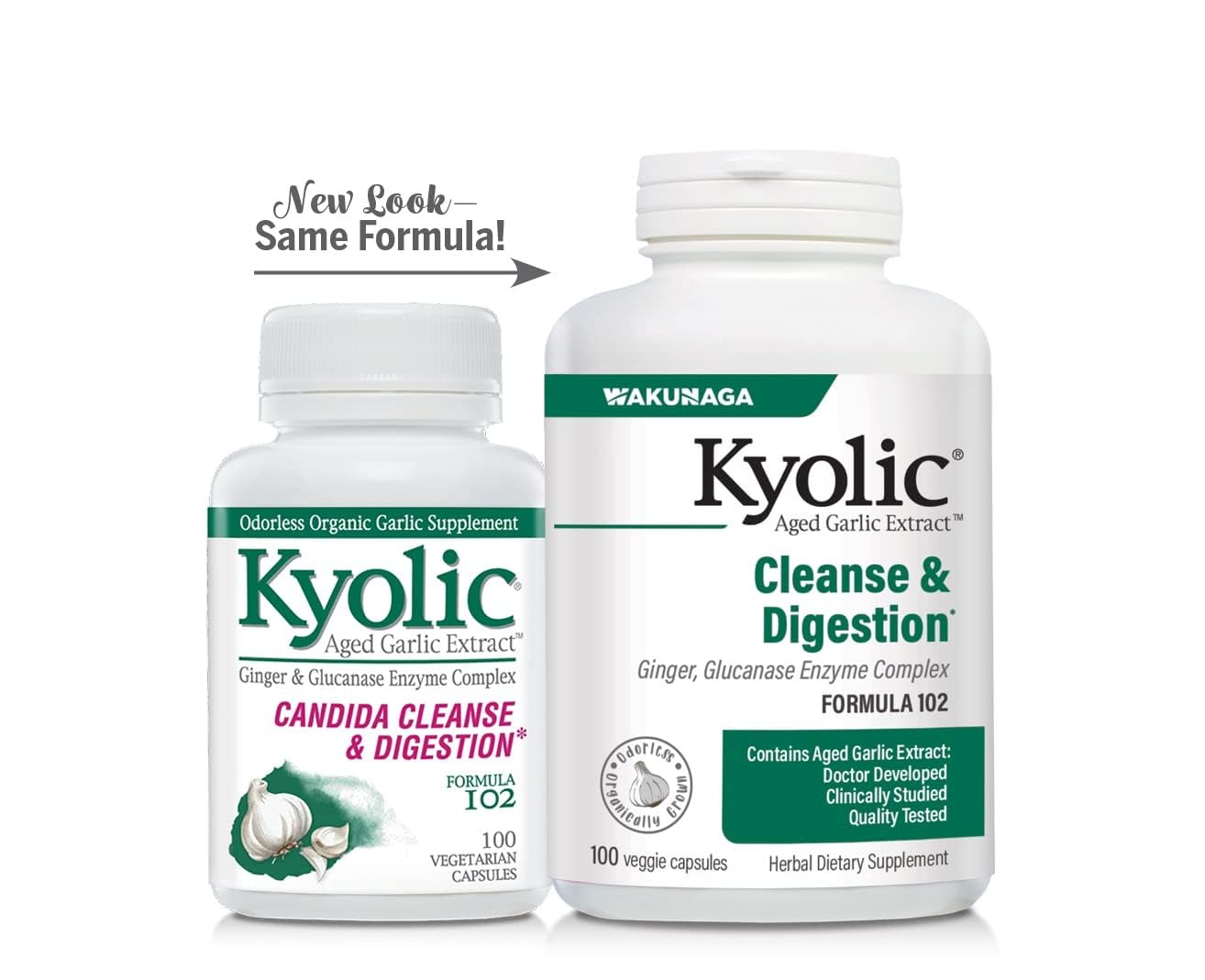 Kyolic Aged Garlic Extract Formula 102 Capsules, 100 Count