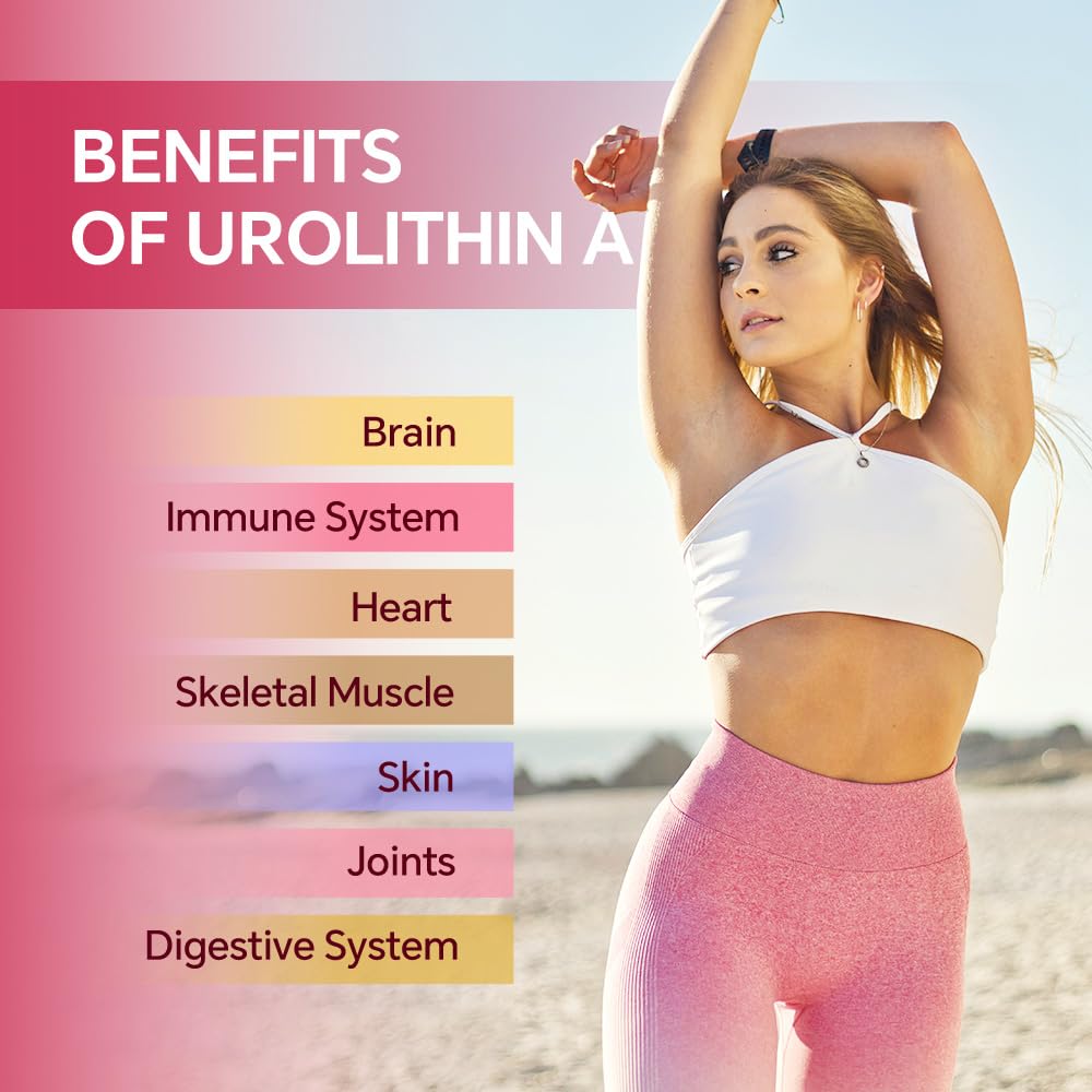 FKOOO Urolithin A Capsule 60 Capsules