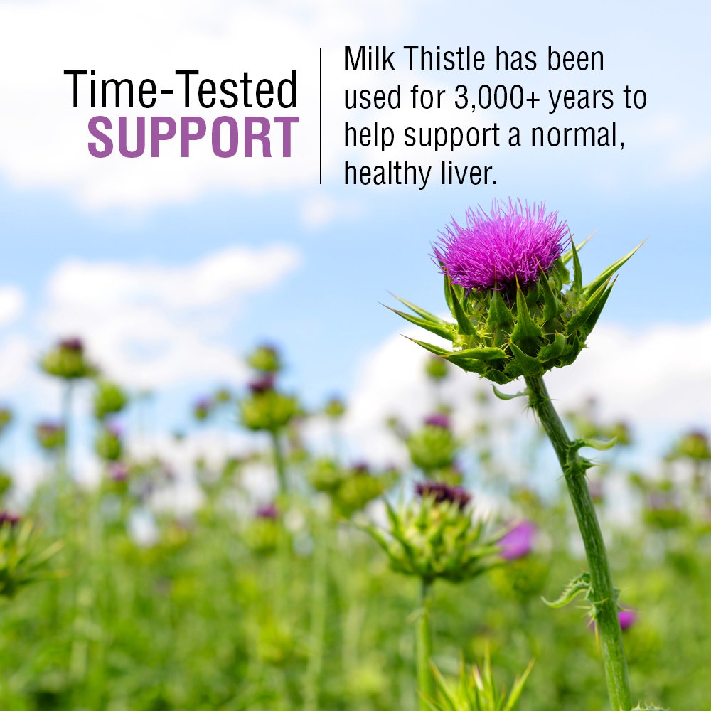 SOLARAY Milk Thistle Seed Extract 175mg Capsules, Non-GMO & Vegan, 60 Capsules
