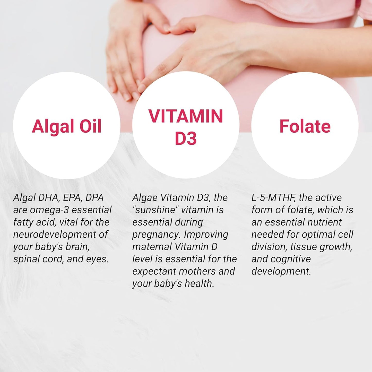 Naturalis Vegan Prenatal 120 Softgels