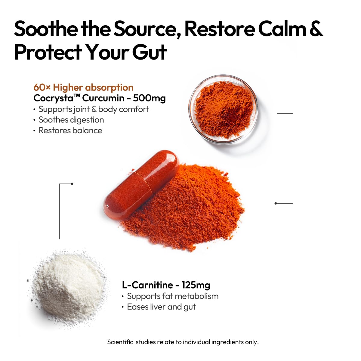 BIGVITA CoCrystal Curcumin+ 60 Capsules