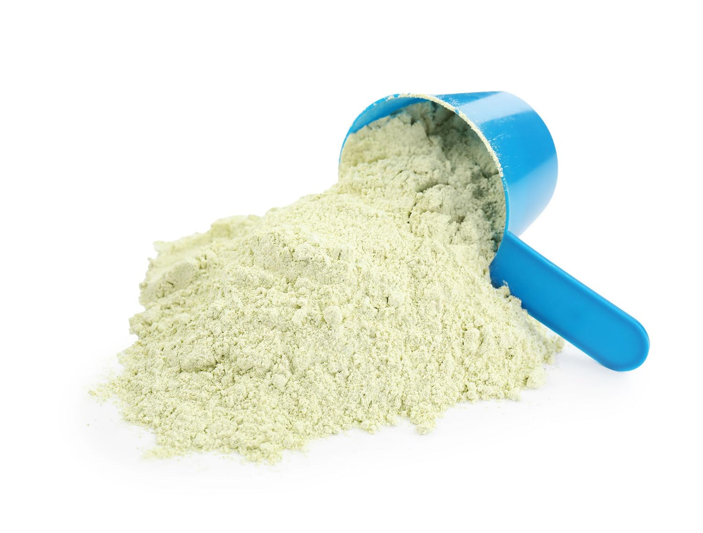 DrFormulas Lactose-Free Whey Protein Isolate Powder with Lactase, Organic Matcha with Vanilla Flavor, 16 Servings