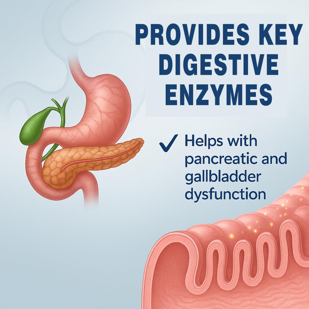 Lunza Pancreatin Enzyme Supplement 1000mg Full Strength Digestive Support for Pancreatitis, Gallbladder Surgery Recovery – Protease, Amylase, Lipase Formula 90 Capsules