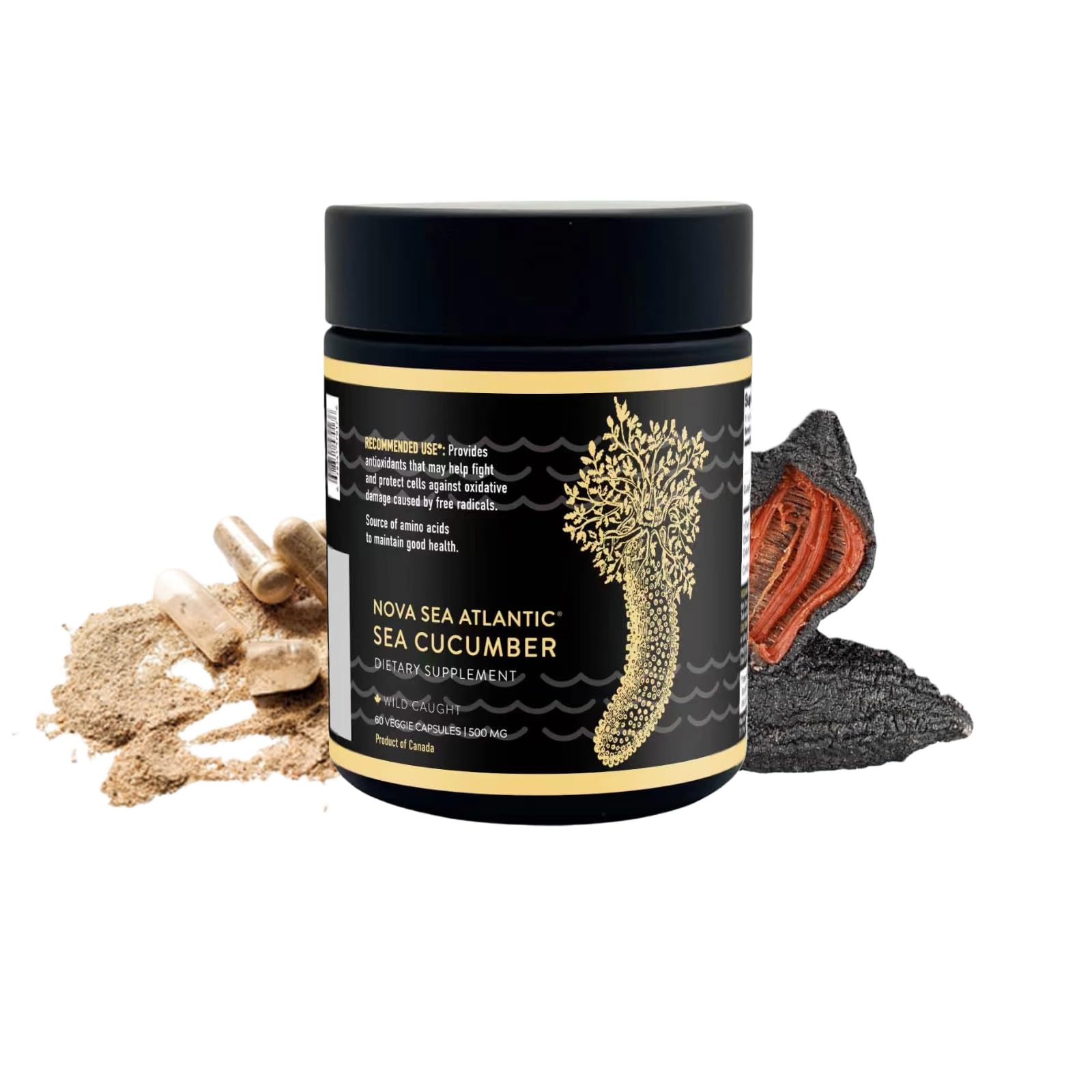 Nova Sea Atlantic Sea Cucumber Supplement Capsule, 60 Count
