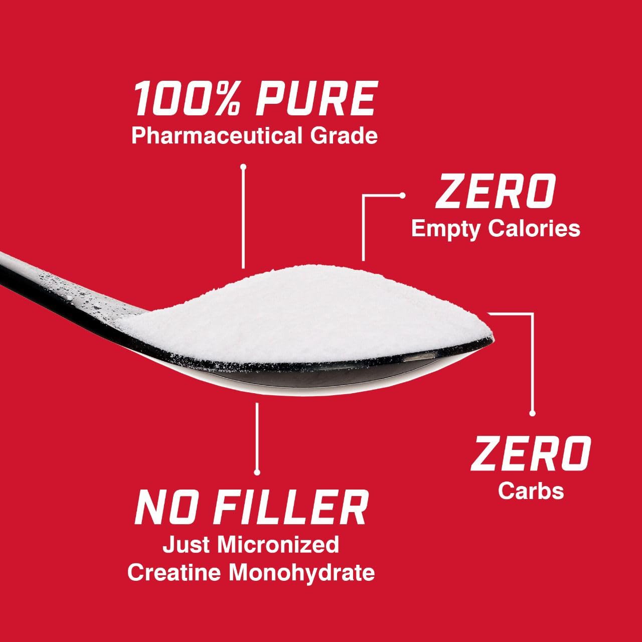 ProLab Creatine Monohydrate Micronized Powder, 1000 g (35.3 oz)