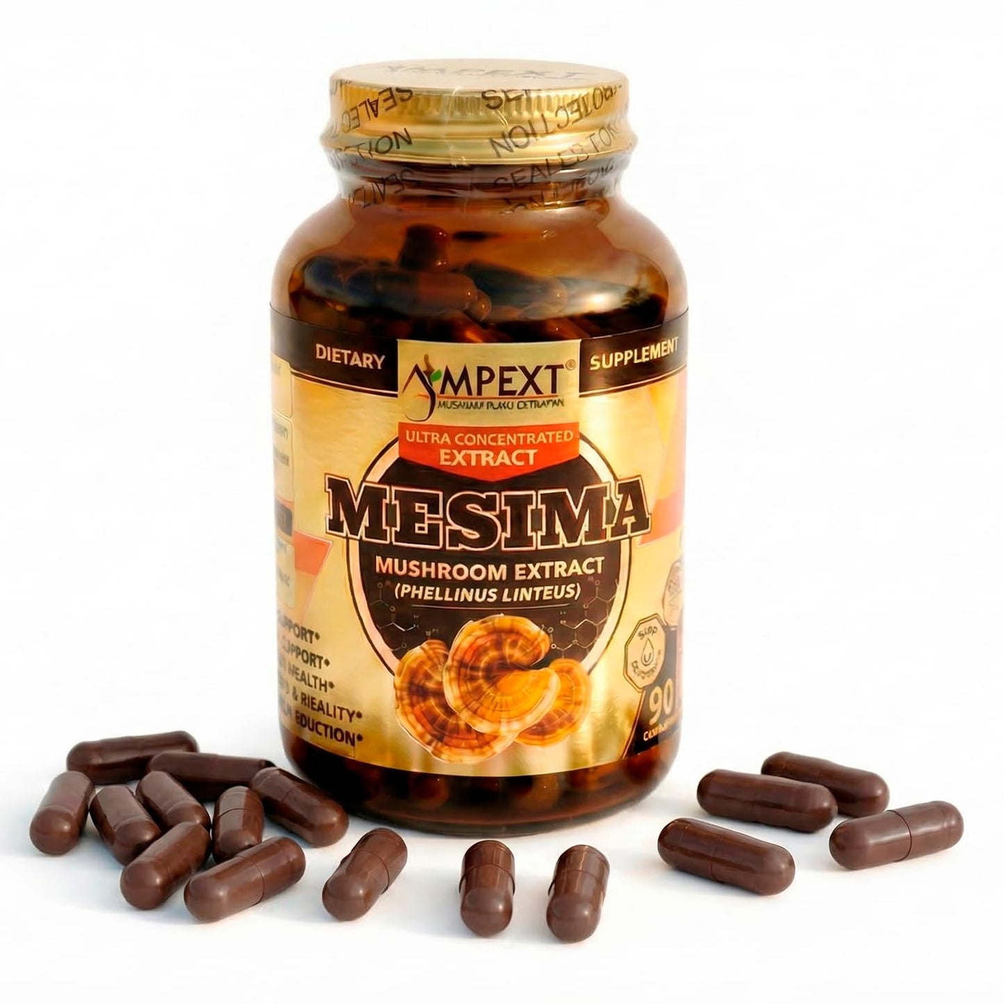 AMPEXT Phellinus linteus Mushroom Extract Capsule, 90 Veg Caps