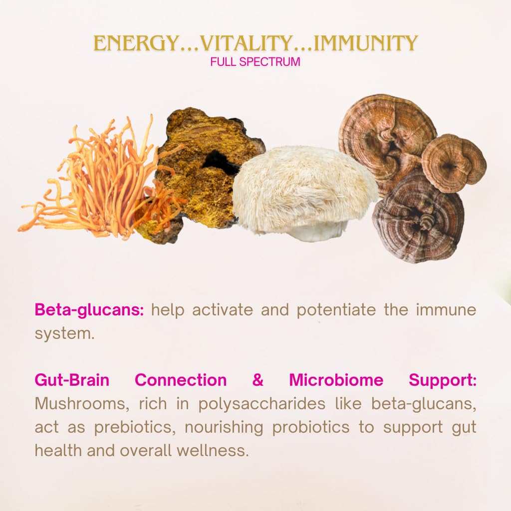 Eleven TLC A Wellness Co Lion's Mane Mushroom Powder Organic, 40 Servings