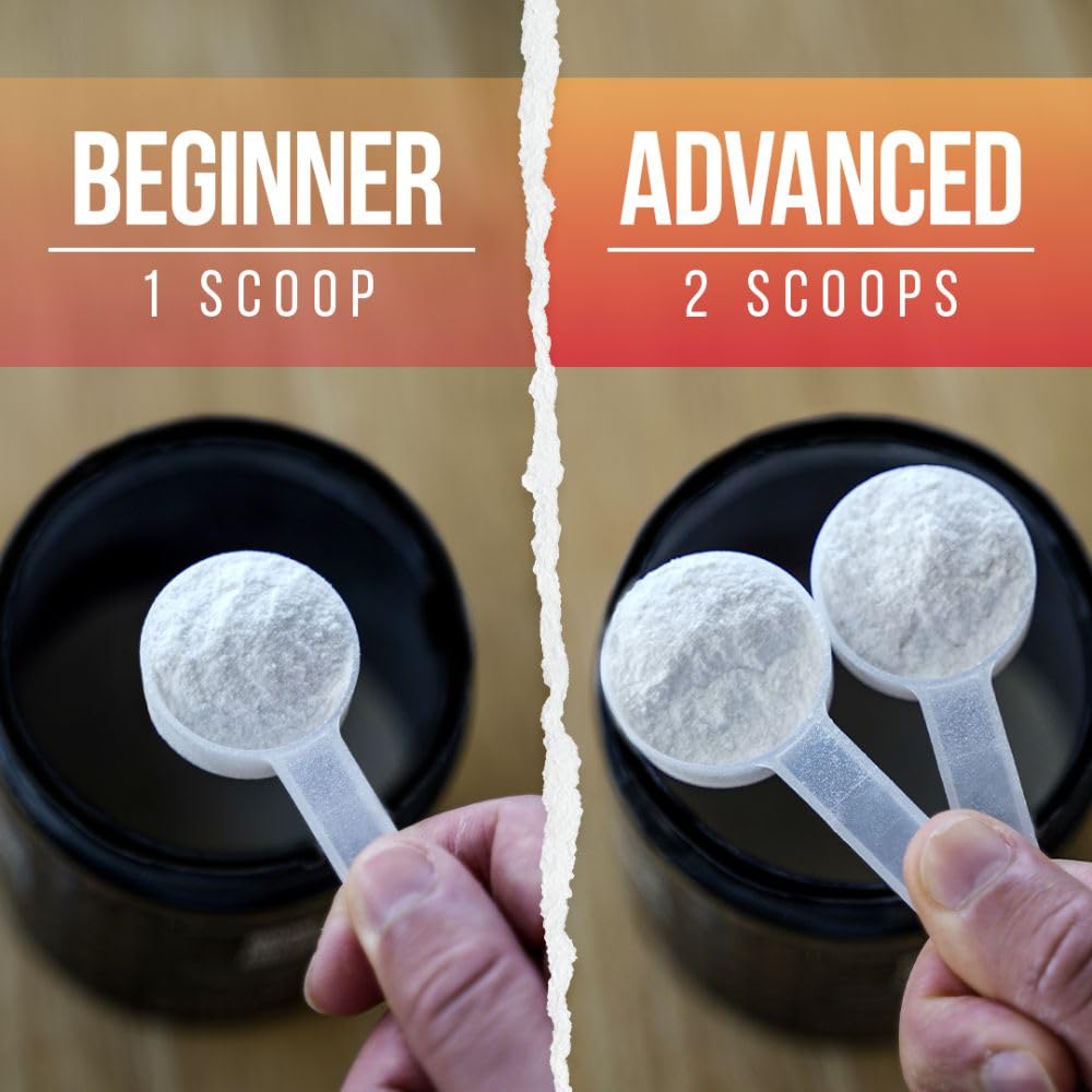 ALPHA LION Core Pre Workout Powder, 30 Servings