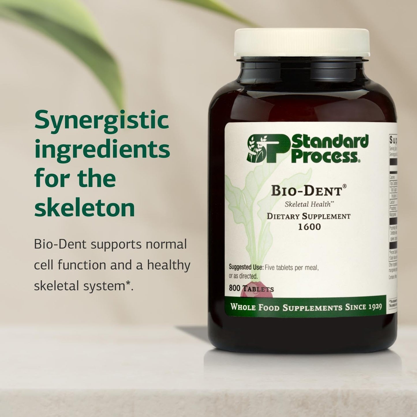 Standard Process Inc. Bio-Dent Skeletal Health Dietary Supplement - Teeth & Bone Function Support - Skeletal & Collagen Supplement 800 Tablets