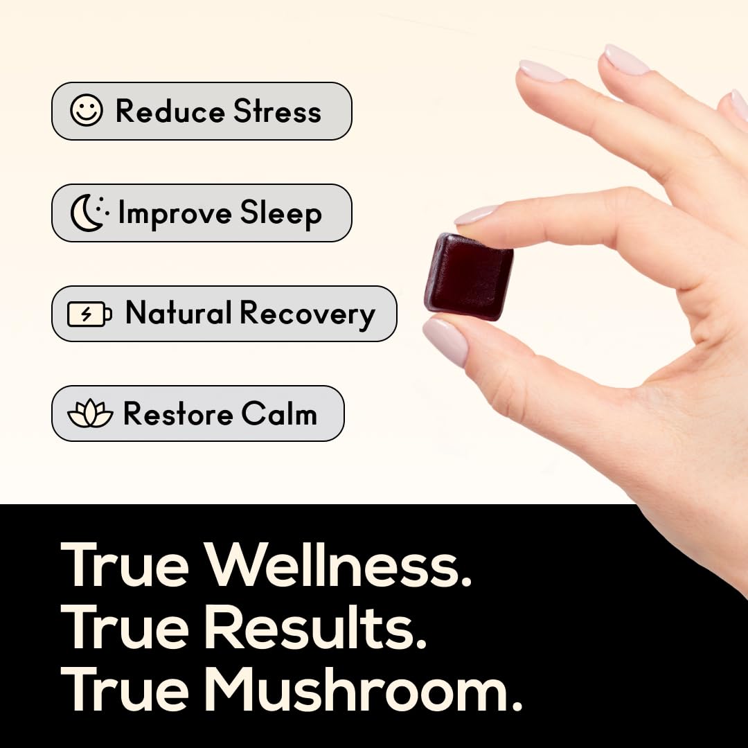 TrueMushroom Sleep Support Mushroom Gummy Supplement with Melatonin, Lion’s Mane, Cordyceps, Reishi, Shiitake, BlackBerry Flavor, 60 Gummies