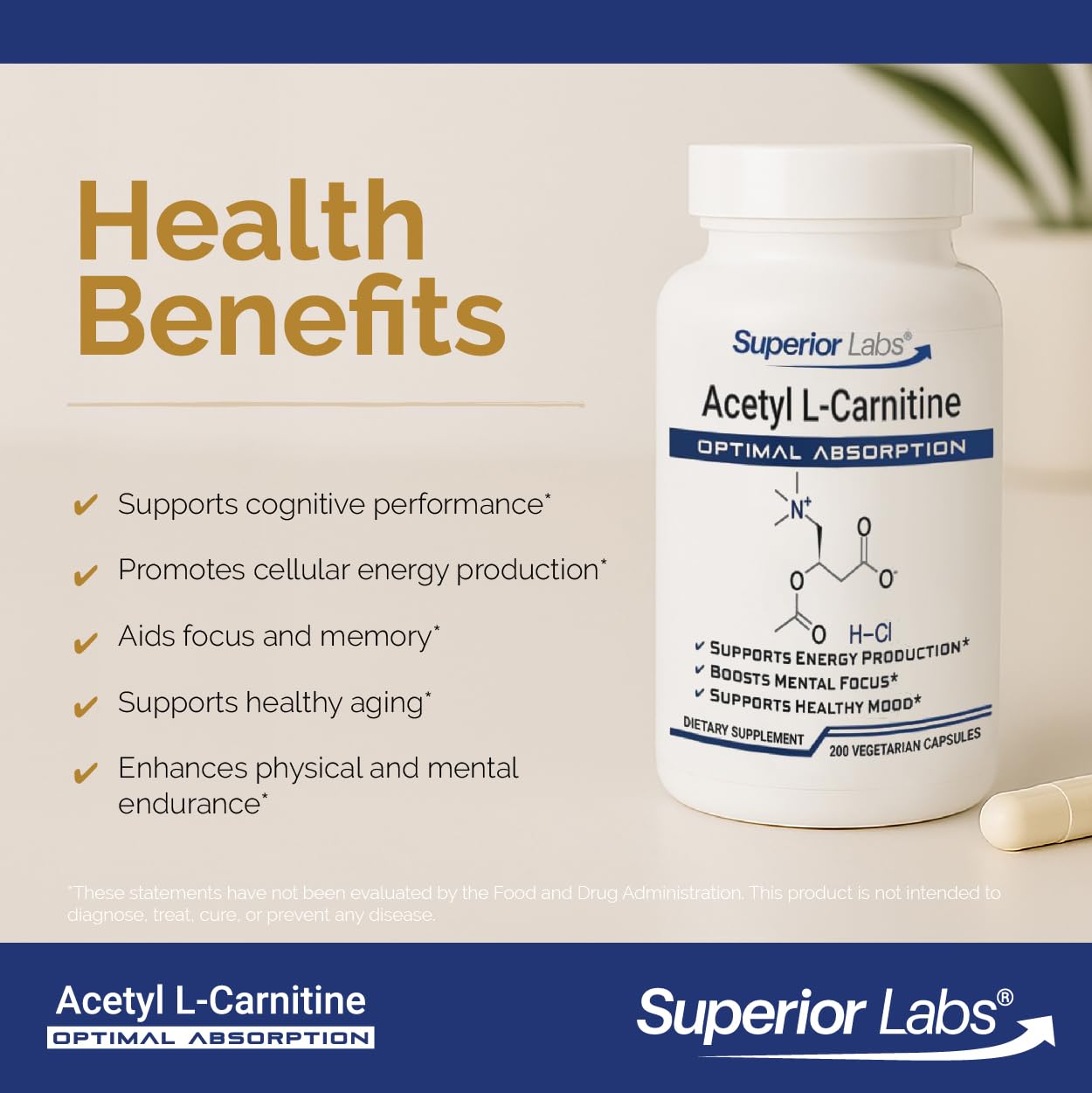 Superior Labs Acetyl L-Carnitine 500 mg Capsule, 200 Veg Caps