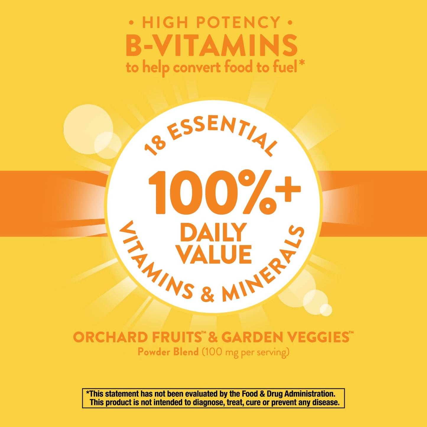 Nature’s Way Alive! Daily Energy Multivitamin 22 Vitamins and Minerals, 120 Tablets