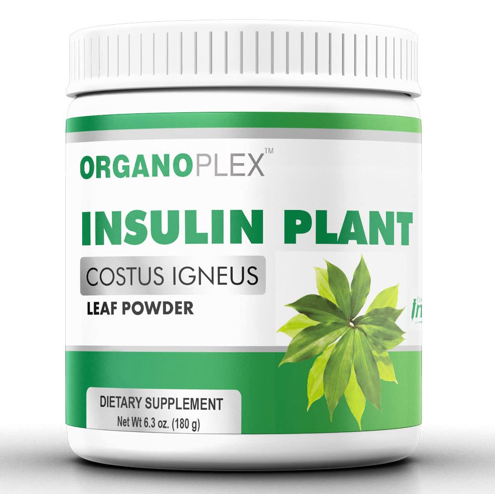 ORGANOPLEX Insulin Plant Powder (Costus Igneus) 6.4 Ounce