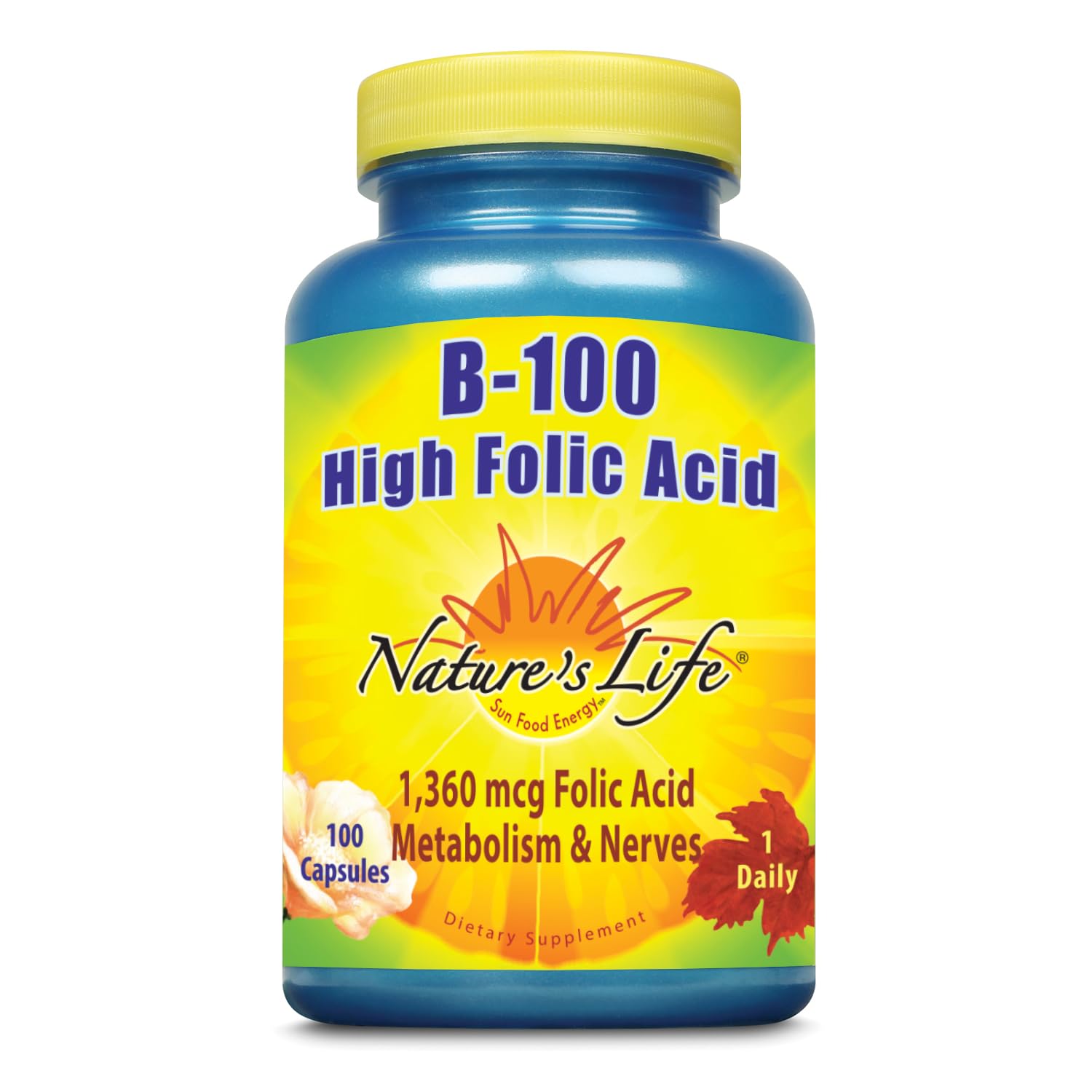 Nature's Life B-100 High Folic Acid Capsule, 100 Count