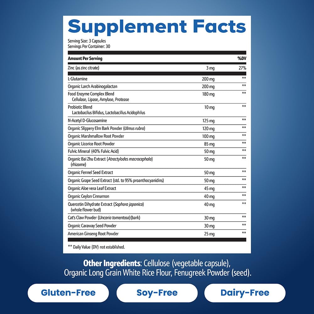 Well of Life Gut Repair Supplement – Digestive Health & Gut Support with Butyrate, L-Glutamine & Zinc Carnosine – Gut Lining Support Capsules, 90 Capsules