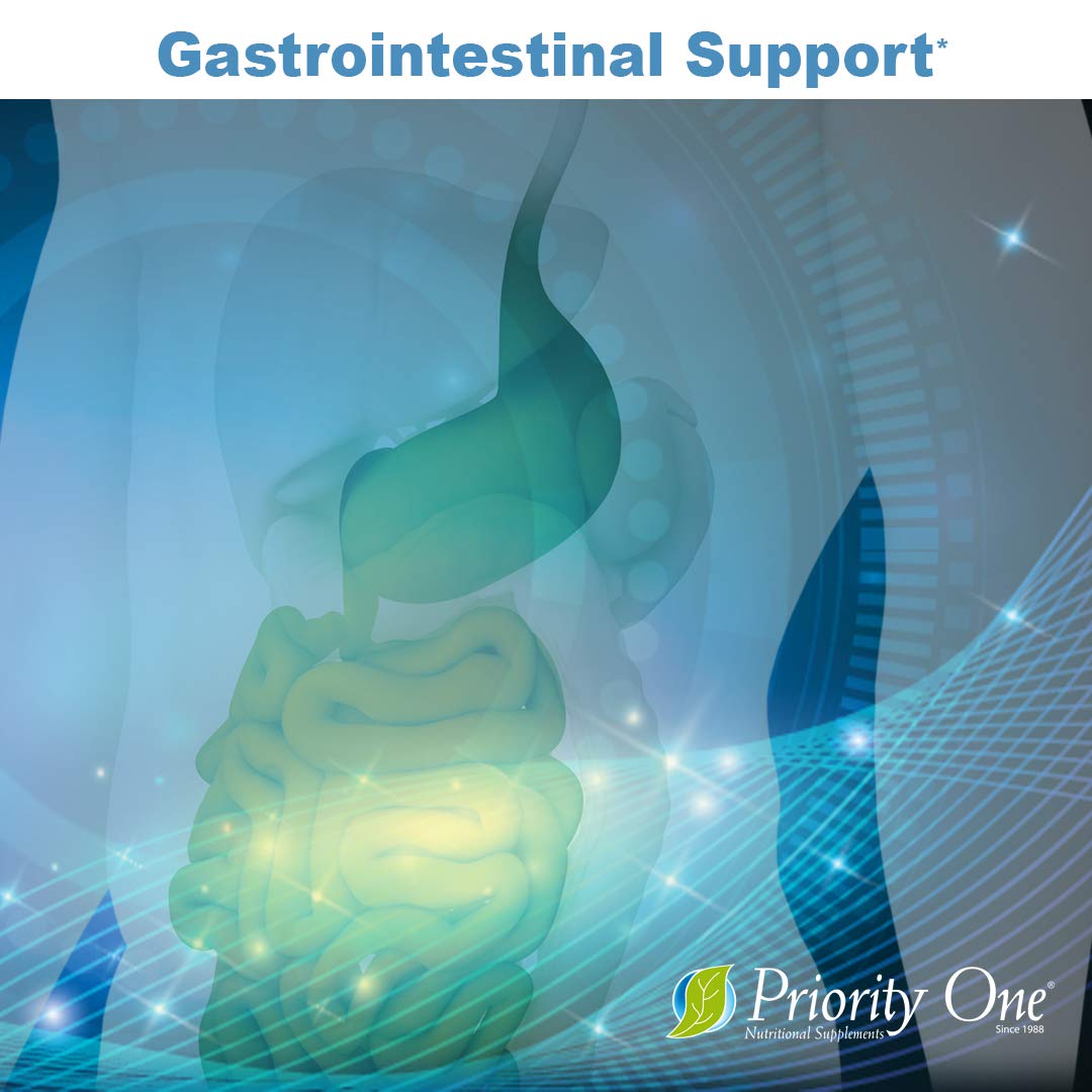 Priority One Gastri Gest Capsule, 120 Capsules