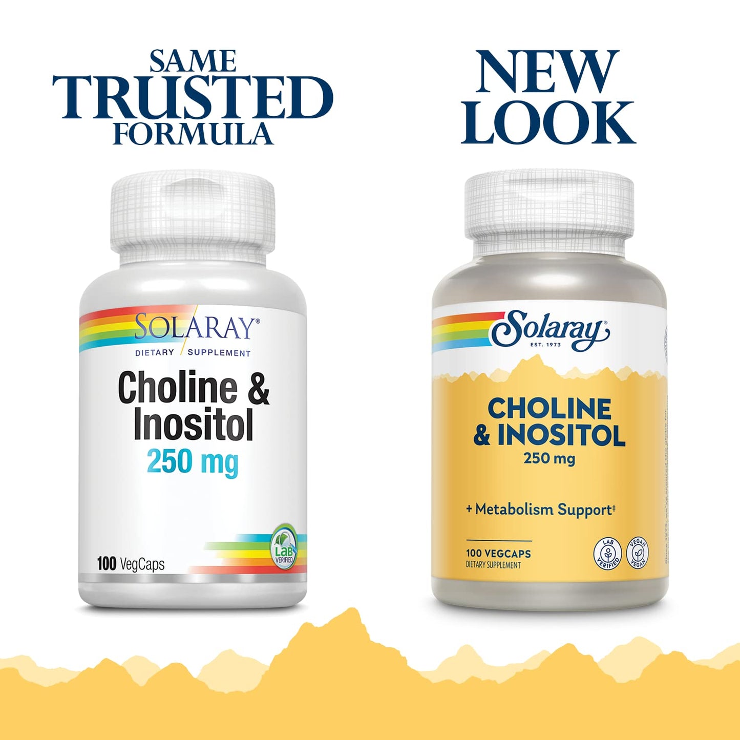 SOLARAY Choline & Inositol 250 mg Two-Nutrient Combo for Healthy Fat Metabolism, Brain Function Support Capsules 100