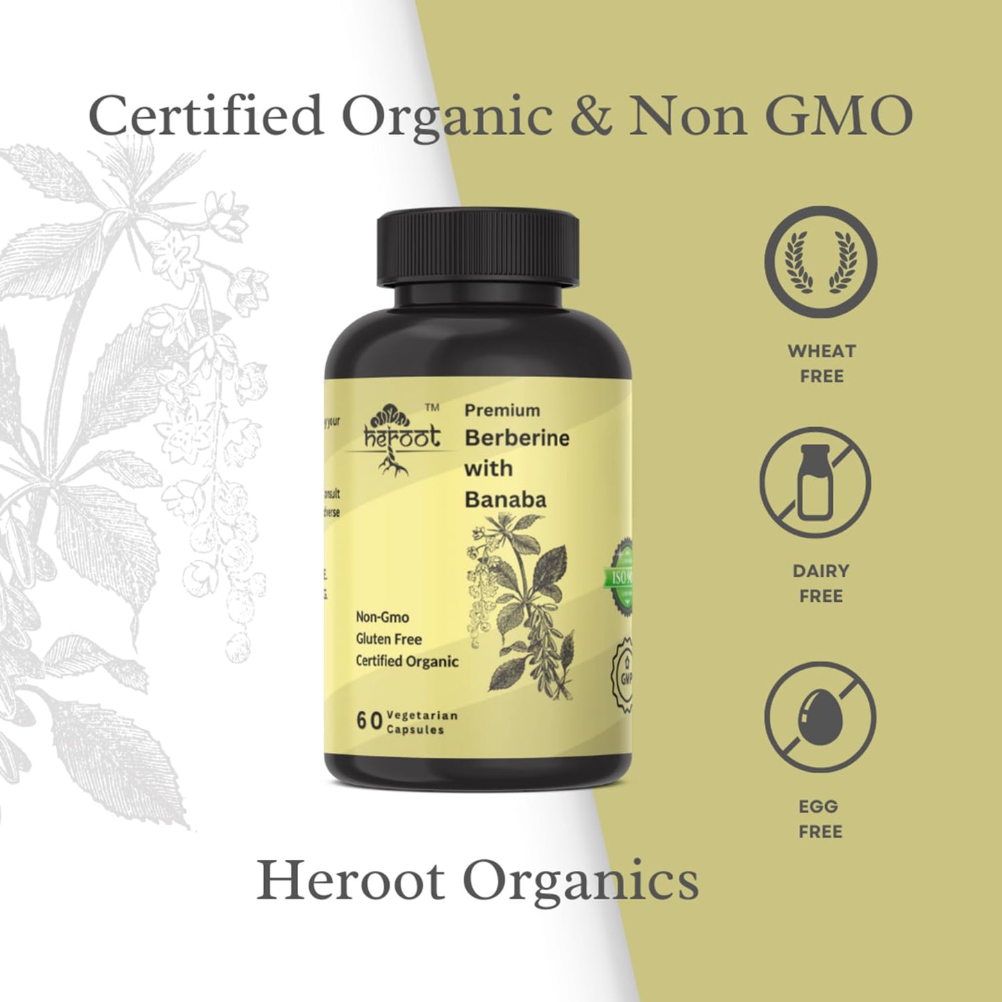 Heroot Berberine HCl with Banaba 500mg Root Extract Capsule, 60 Capsules