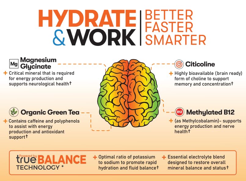 Great Naturally Focus+ Nootropic Electrolyte Powder 2.93 oz