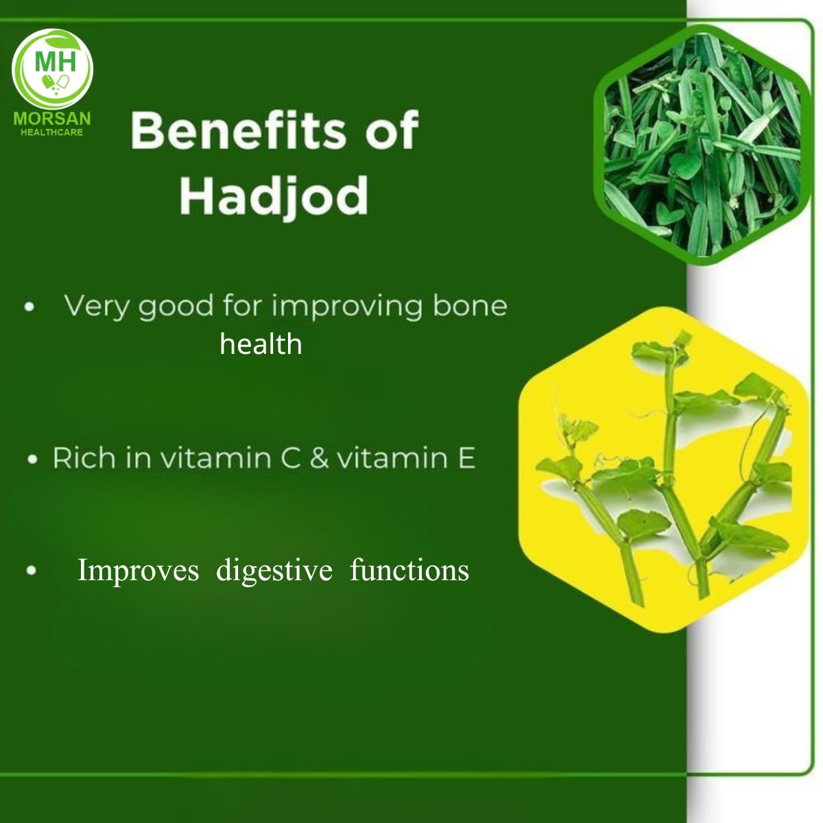 Morsan Healthcare Hadjod (Cissus Quadrangularis) 60 Capsules