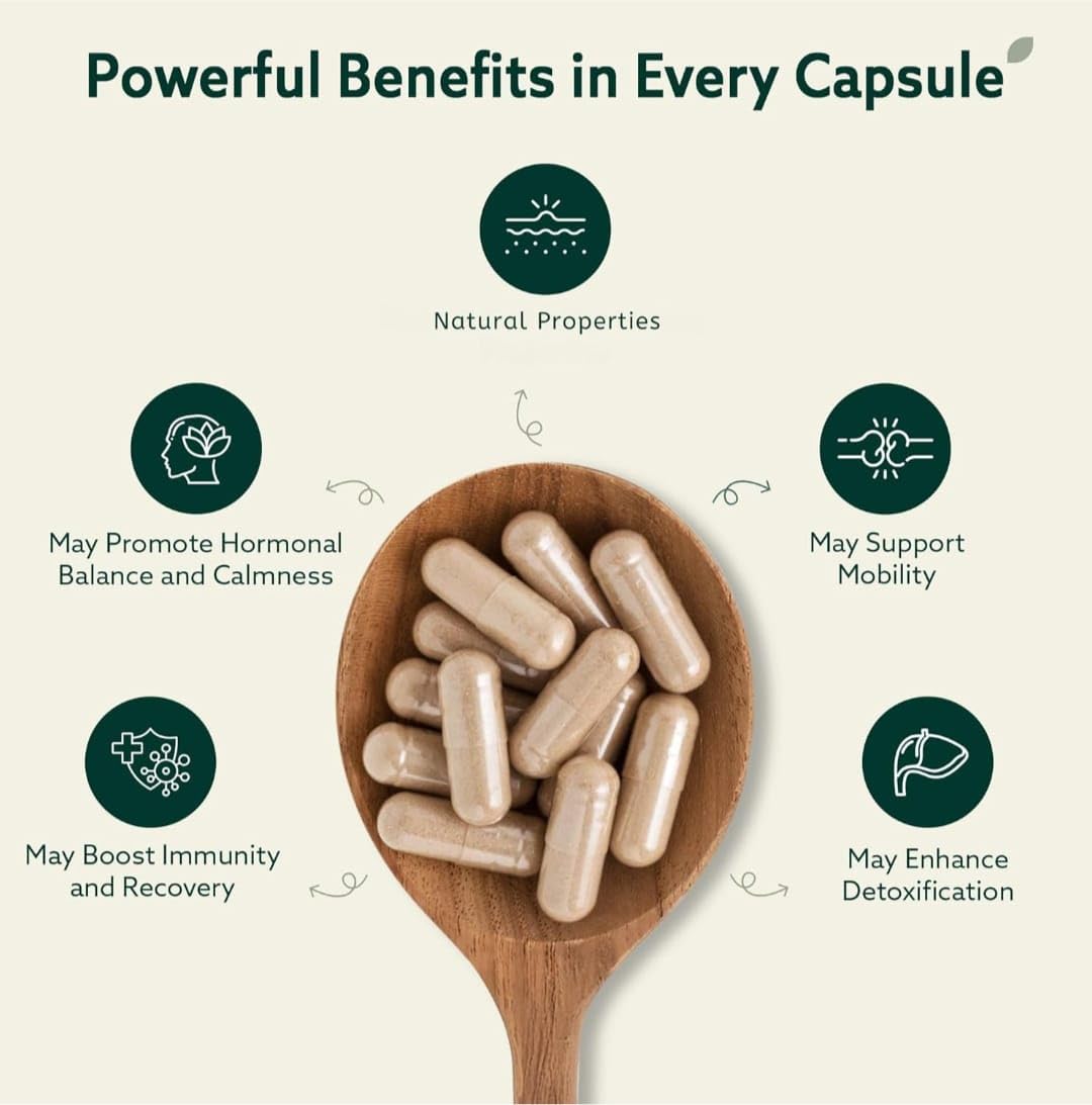 Zovicopt Ashwagandha Supplement Capsule 70 Count