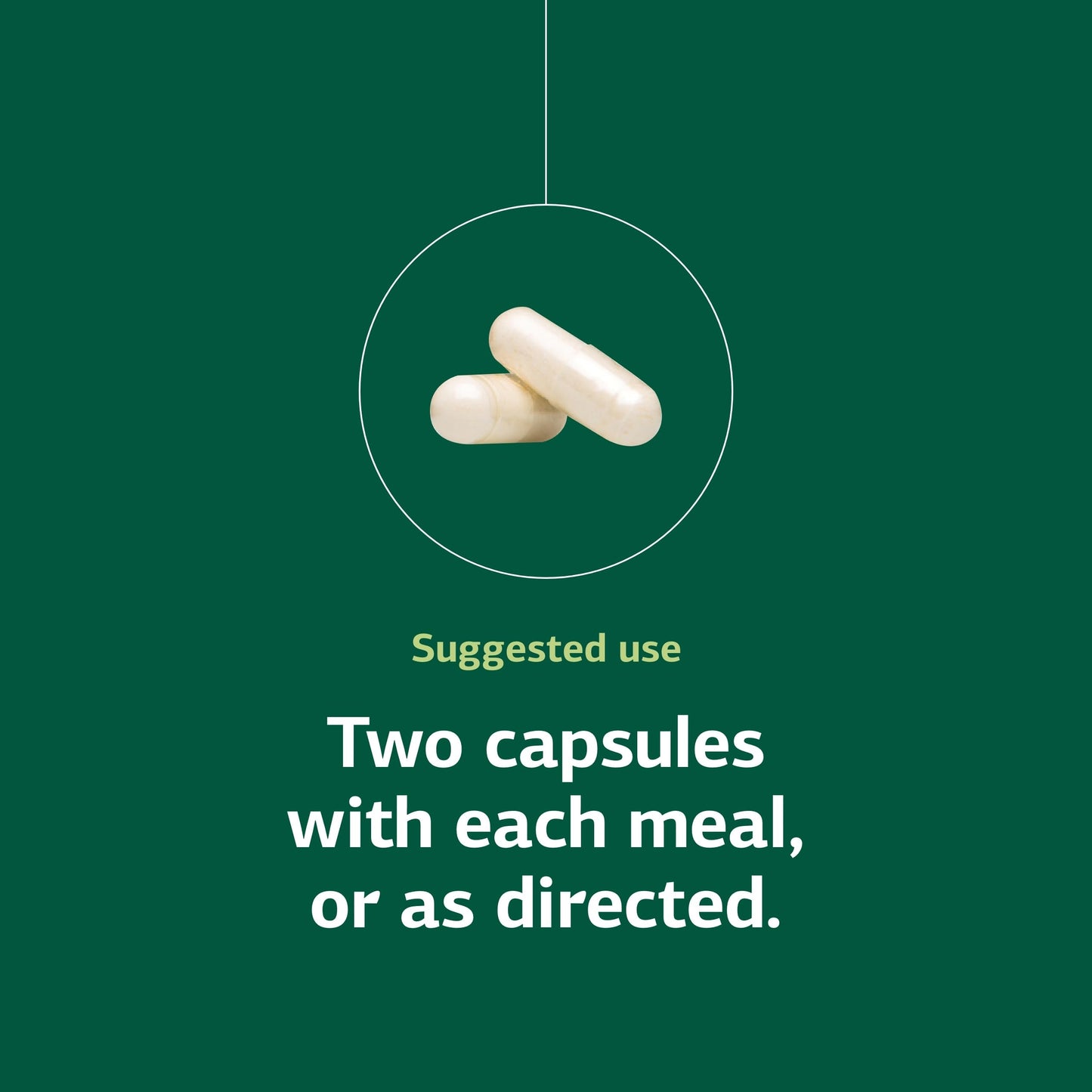 Standard Process Lact-ENZ Enzyme Digestion Support Capsule 90 Count