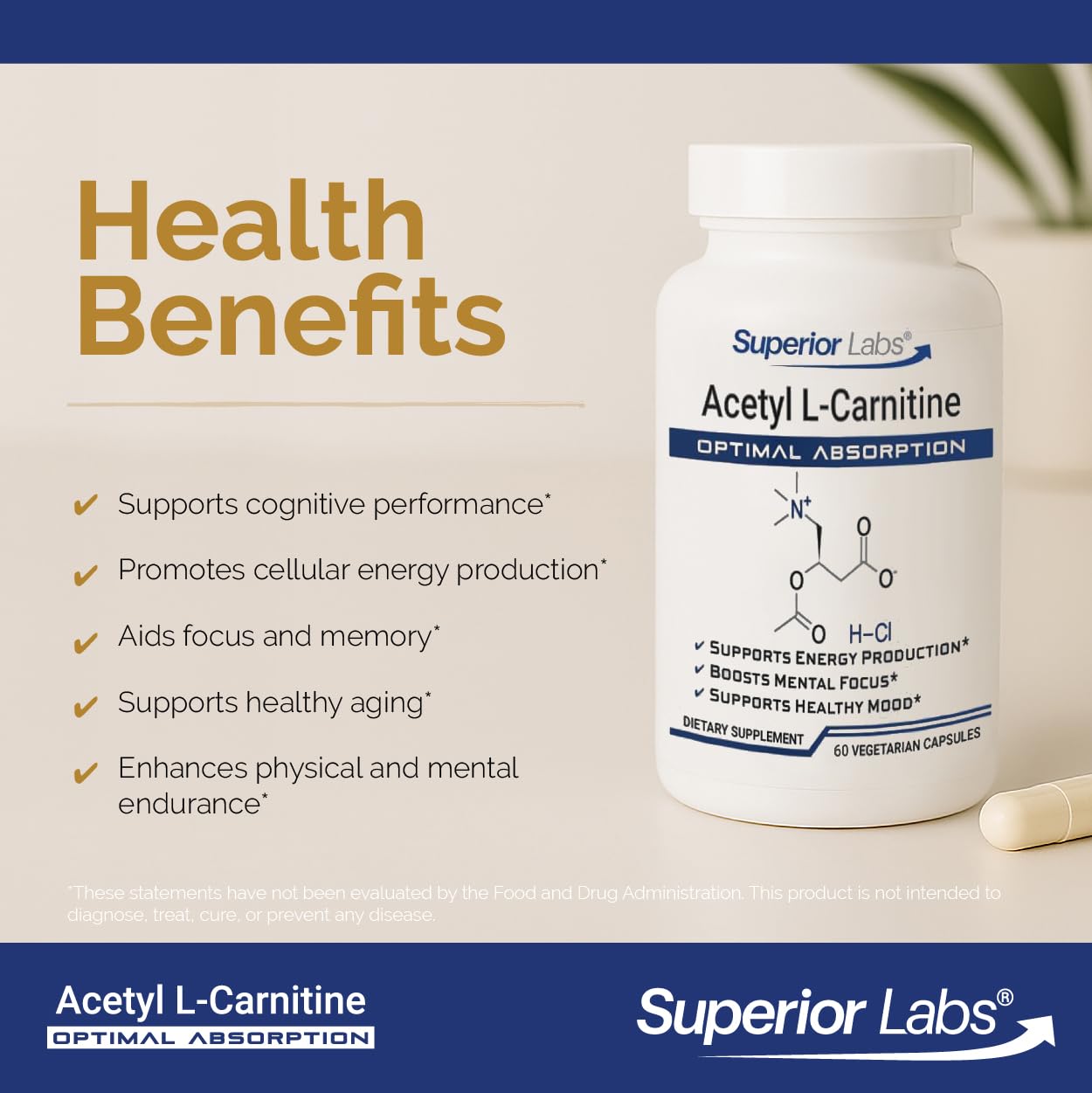 Superior Labs Acetyl L-Carnitine 500 mg Capsules, 60 Veg Caps