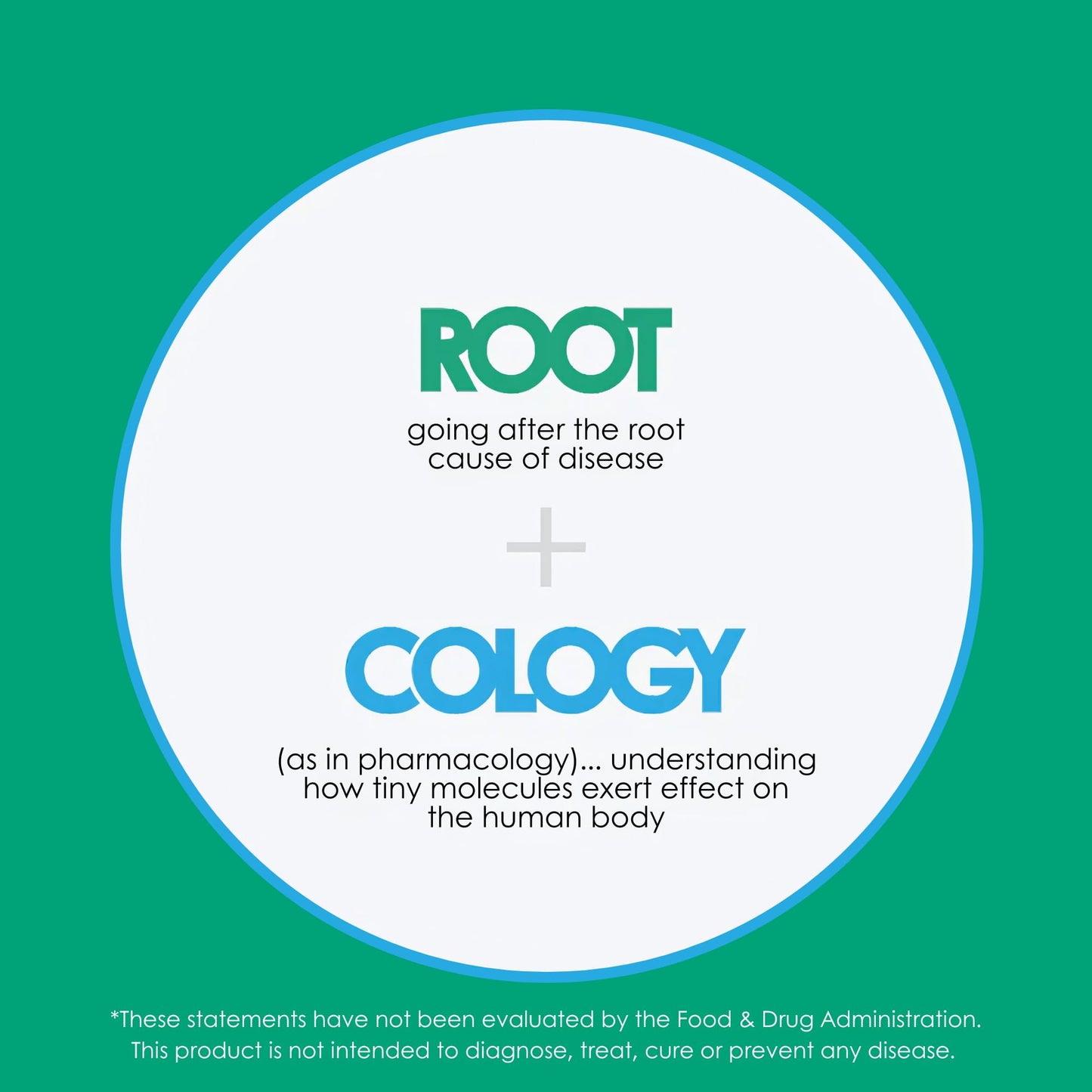 Rootcology P5P Active Vitamin B6 Capsules 120