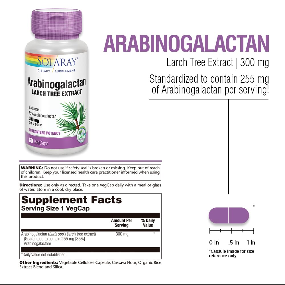 SOLARAY Arabinogalactan, Larch Tree Extract 300mg | Prebiotic Fiber for Healthy Gut & Immune System Support, 60 Capsules