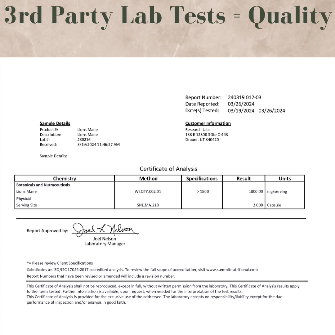 Research Labs Organic Lions Mane Supplement Capsules, 240 Capsules