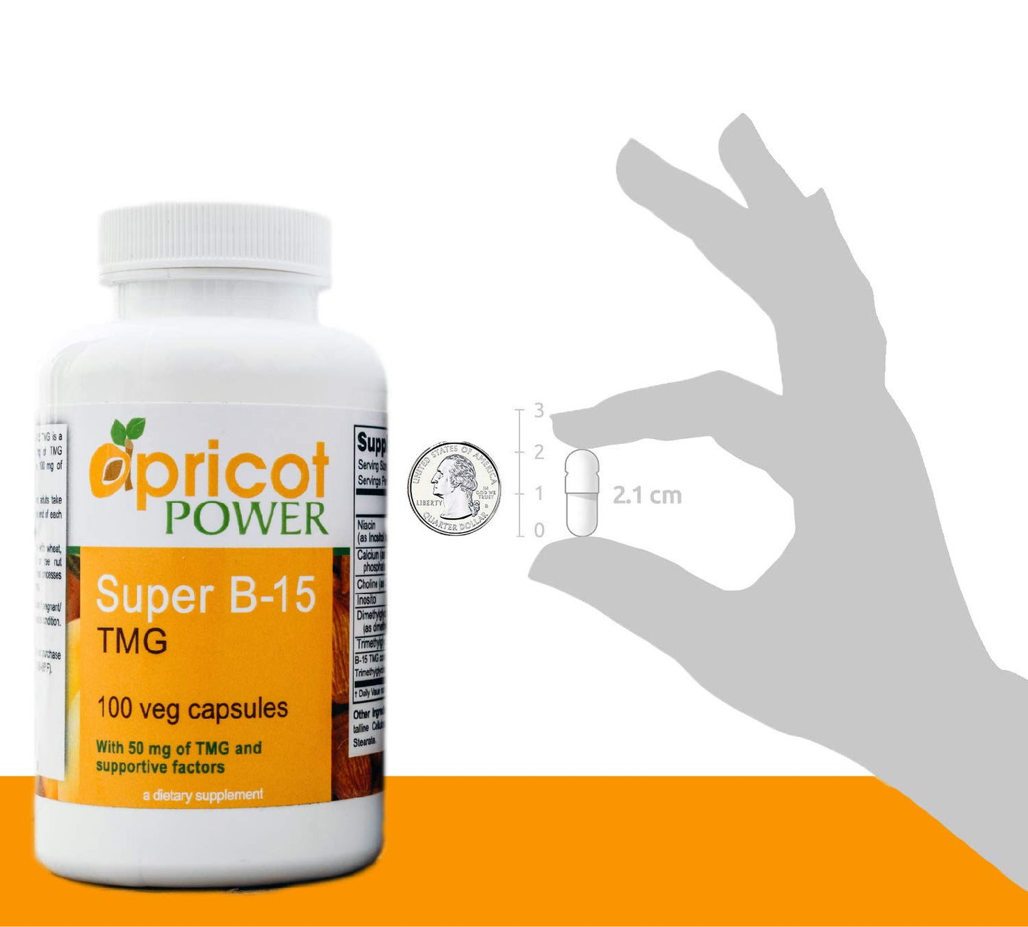 Apricot Power Super B-15 Non Toxic Pangamic Acid - Health Oxygen Levels & Energy Capsules, 100 Count